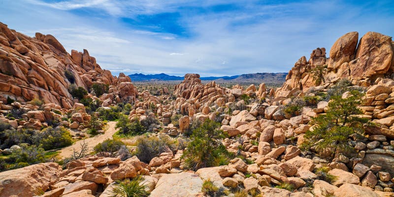 Enterence to Box Canyon at Joshua Tree