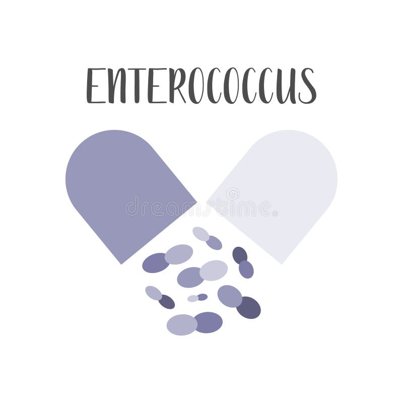 Probiotics. Lactic Acid Bacteria. Good Bacteria and for