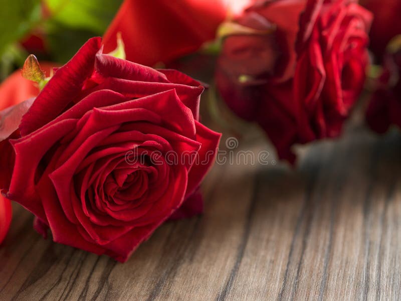 Enterrement Et Concept De Deuil - Fleur Rose Rouge Sur Le Cercueil En Bois  Image stock - Image du trame, rouge: 141971001
