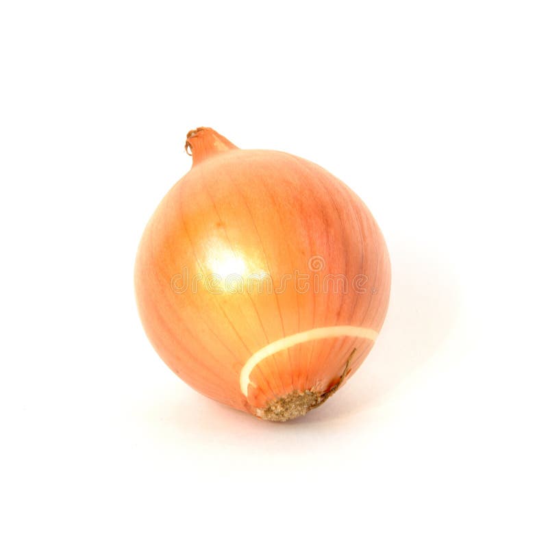 Entire Onion with Peel Isolated on White Stock Photo Image of natural
