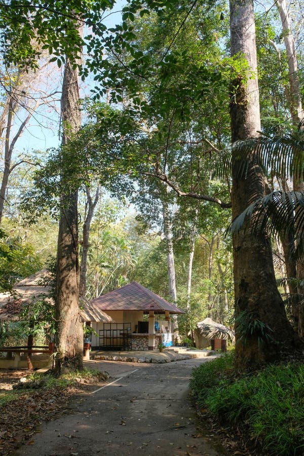 Entrada De Cascada En El Parque Nacional Chae Son En La Provincia De Lampang Imagen De Archivo