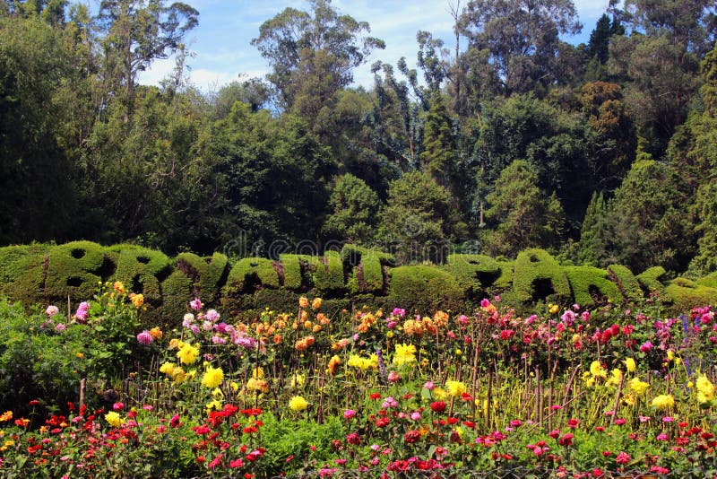 Kodaikanal foto de archivo editorial. Imagen de mejor 138424378