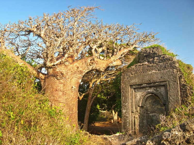 Entrance of the forest