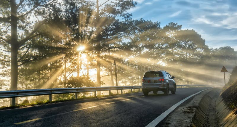 Entraînement de voitures sur la route goudronnée de pays par des forêts de pin photos stock