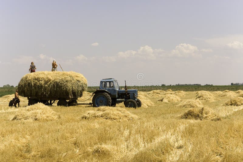 Tracteur dans le Champ images libres de droits