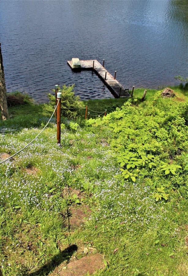 Entre em Leonard Pond localizou em Childwold, New York, Estados Unidos fotografia de stock Entre em Leonard Pond localizou em Childwold, New York, Estados Unidos fotografia de stock