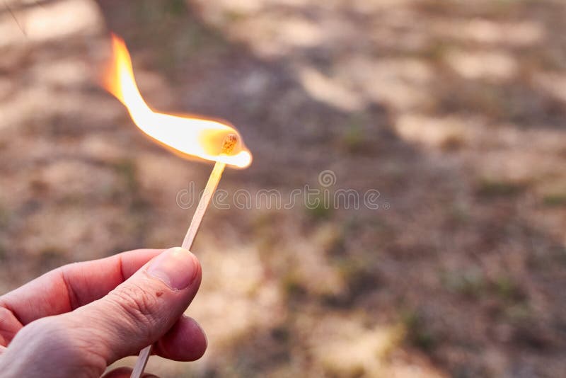 Hand holding a match on fire in a pine forest. Hand holding a match on fire in a pine forest