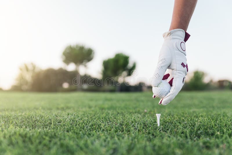 Entregue a mulher que põe uma bola de golfe sobre o T fotografia de stock Entregue a mulher que põe uma bola de golfe sobre o T fotografia de stock