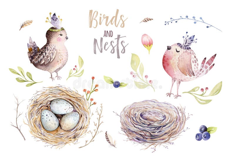 Entregue o pássaro e ovos de tiragem dos desenhos animados do voo da aquarela de easter com folhas, ramos e penas Arte da mola do ilustração royalty free Entregue o pássaro e ovos de tiragem dos desenhos animados do voo da aquarela de easter com folhas, ramos e penas Arte da mola do ilustração royalty free