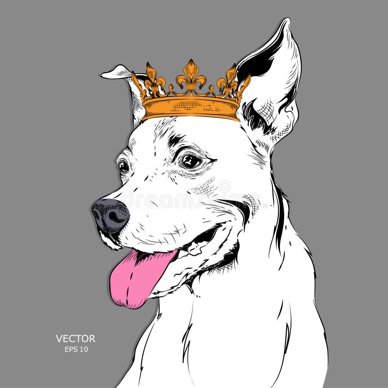 Hand draw Image Portrait of dog in the crown. Use for print, posters, t-shirts. Hand draw vector. Hand draw Image Portrait of dog in the crown. Use for print, posters, t-shirts. Hand draw vector