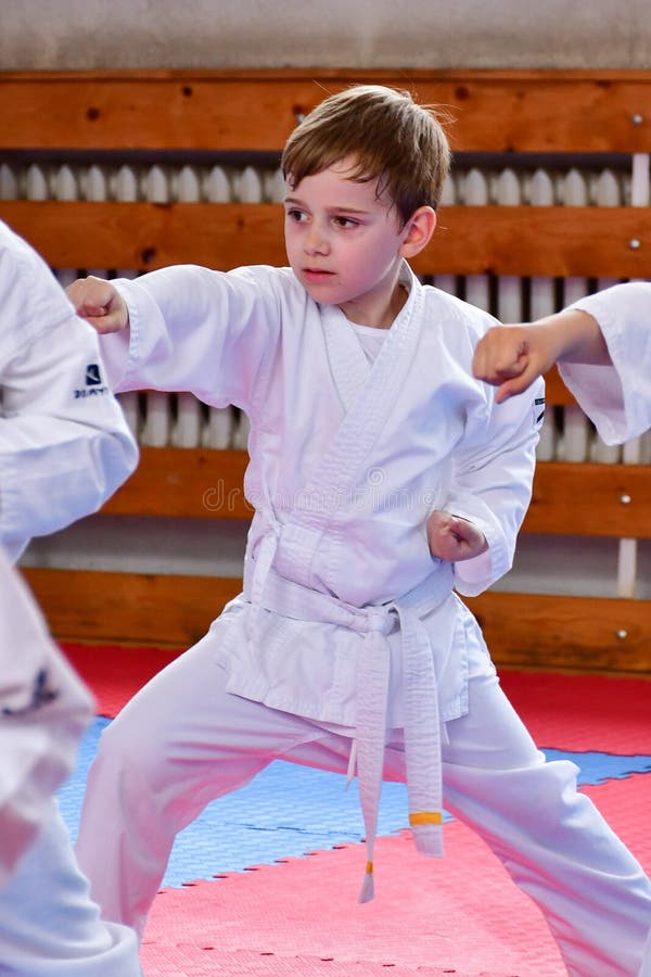 Entrenamiento del karate imagen de archivo. Imagen de mano 117110853