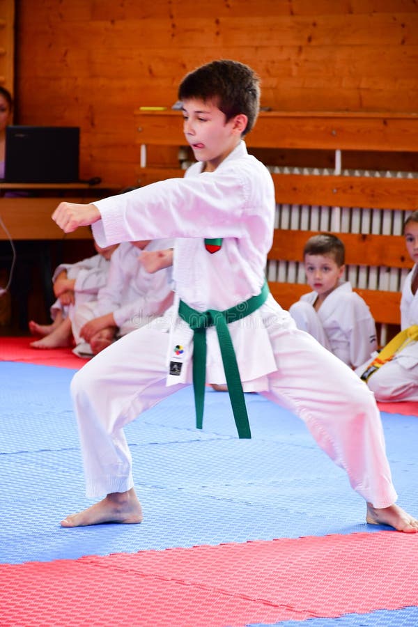 Entrenamiento del karate imagen editorial. Imagen de costa 117285655