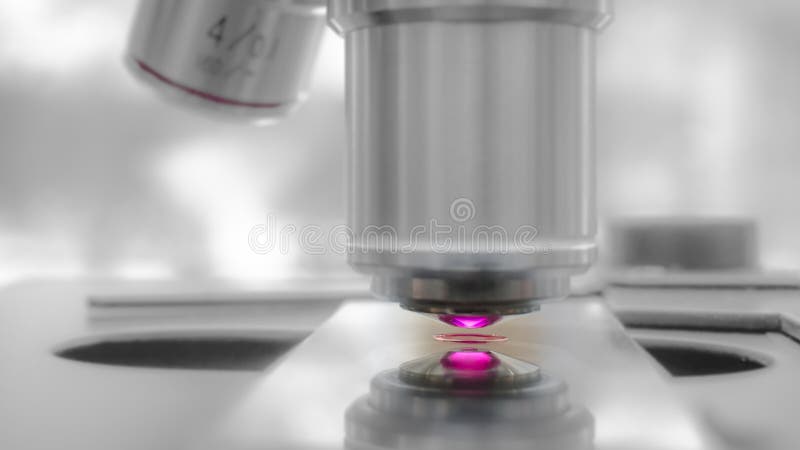 Entreprise d'une expérience d'observation utilisant un microscope soutenu par le laser image libre de droits Entreprise d'une expérience d'observation utilisant un microscope soutenu par le laser image libre de droits