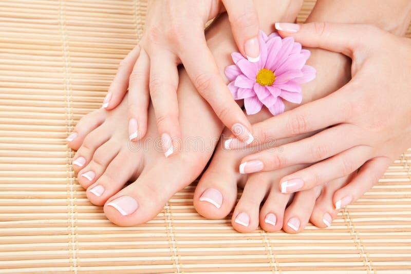 Entretenir des jambes de femme image stock Entretenir des jambes de femme image stock