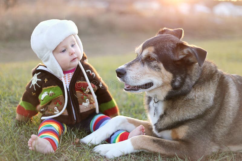 Entzückendes Baby zusammengerollt herauf Außenseite mit Schoßhund