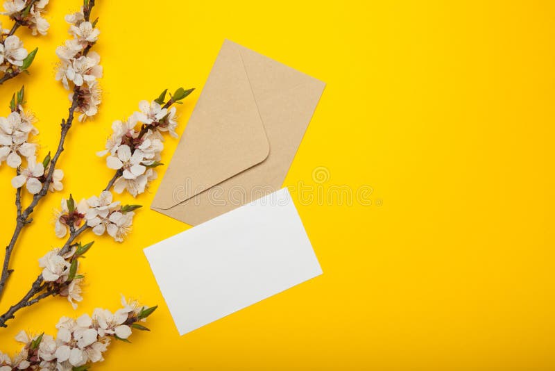 Envelop en lege uitnodiging, bloeiende abrikozentakken op een gele achtergrond Exemplaarruimte voor tekst stock foto Envelop en lege uitnodiging, bloeiende abrikozentakken op een gele achtergrond Exemplaarruimte voor tekst stock foto