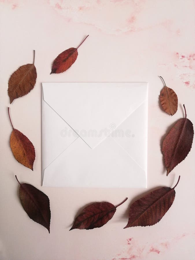 Enveloppe entourée de feuillage d'automne coloré sur fond lumineux images libres de droits Enveloppe entourée de feuillage d'automne coloré sur fond lumineux images libres de droits
