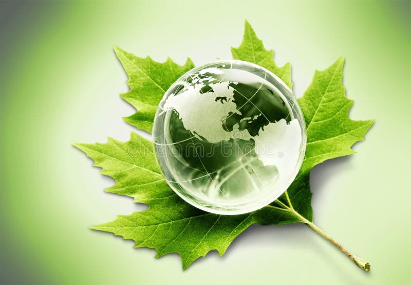 Environment concept, glass globe and green leaf