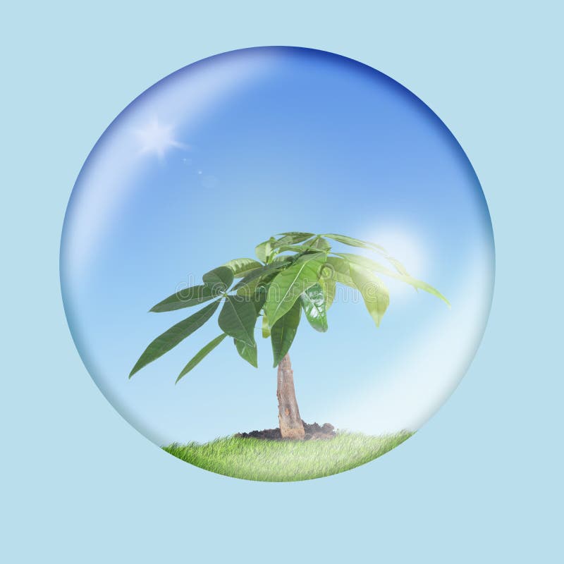 Environmental Conservation 1 vector illustration Environmental Conservation 1 vector illustration
