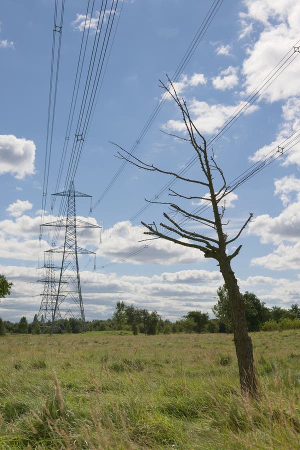 Environmental image of a dead tree under electric lines and pylons stock photography