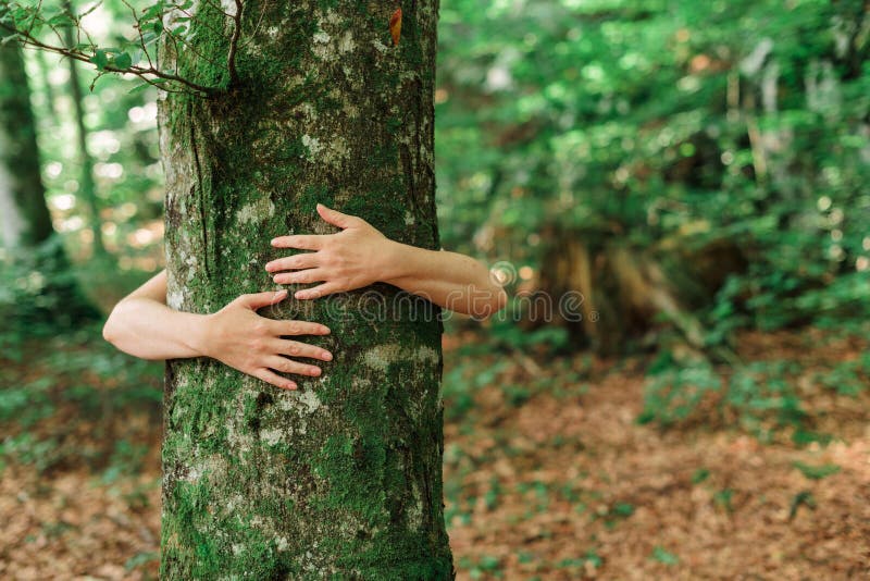 Environmentalist tree hugger is hugging wood trunk in forest