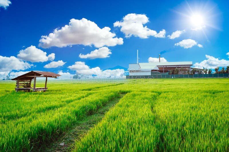 Green factory plant environment friendly processes living with clean air green rice field. Green factory plant environment friendly processes living with clean air green rice field.