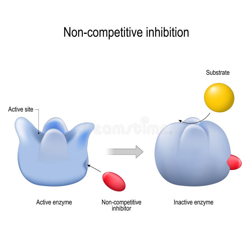 enzyme inibição Não-competitiva o inibidor é uma molécula