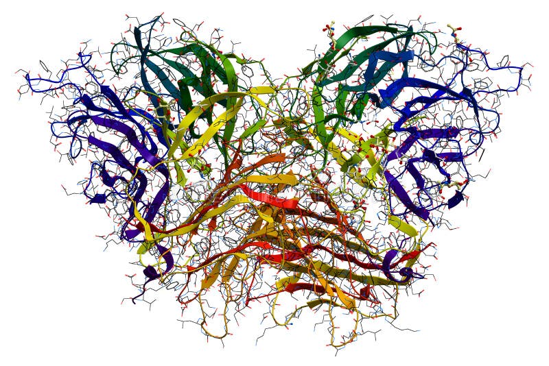  Enzyme  Invertase 3D  view stock illustration Illustration 