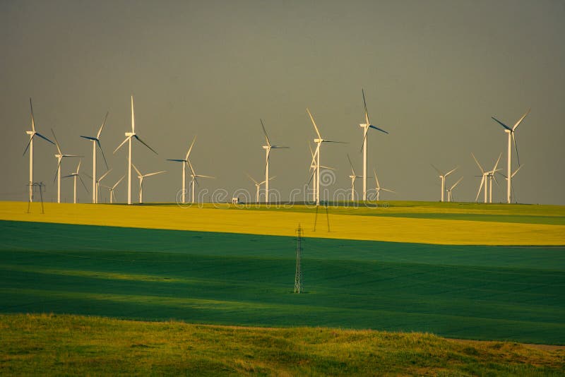 Eolian wind turbines used to produce ecological green electricit