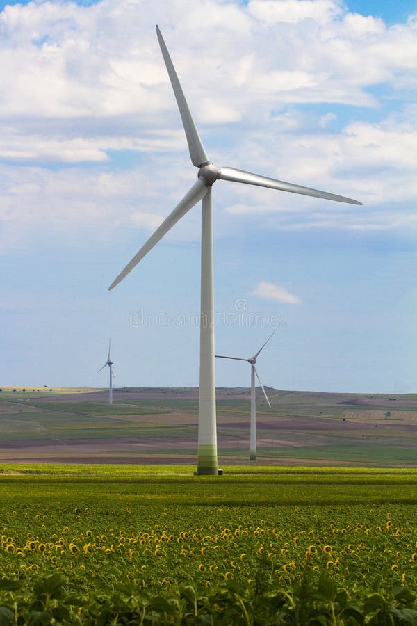 Eolian Windkraftanlage im Sonnenblumenfeld lizenzfreies stockbild Eolian Windkraftanlage im Sonnenblumenfeld lizenzfreies stockbild