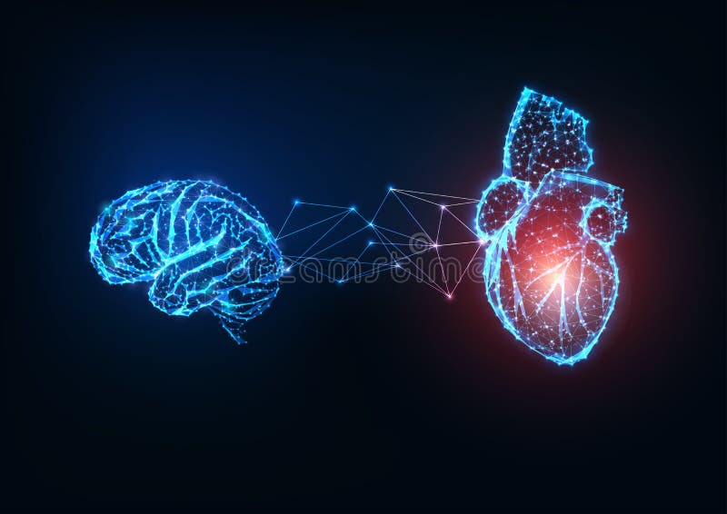 Epidemia futuristica di organi umani a basso legame poligonale, cervello e cuore su fondo blu scuro illustrazione di stock Epidemia futuristica di organi umani a basso legame poligonale, cervello e cuore su fondo blu scuro illustrazione di stock