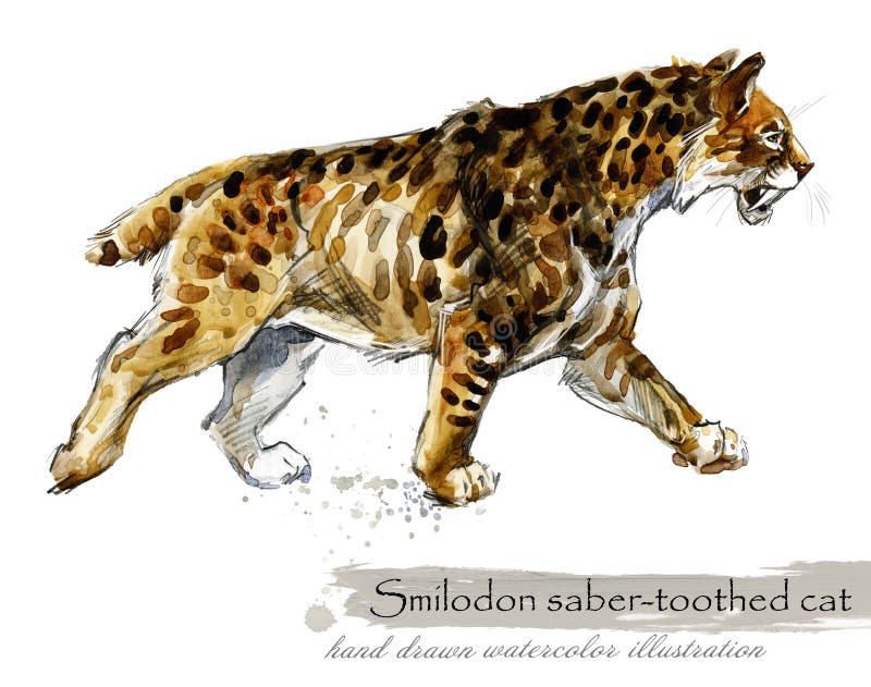 Epoki Lodowcowej przyroda prehistoryczne okres fauny Smilodon Saber uzębiony kot