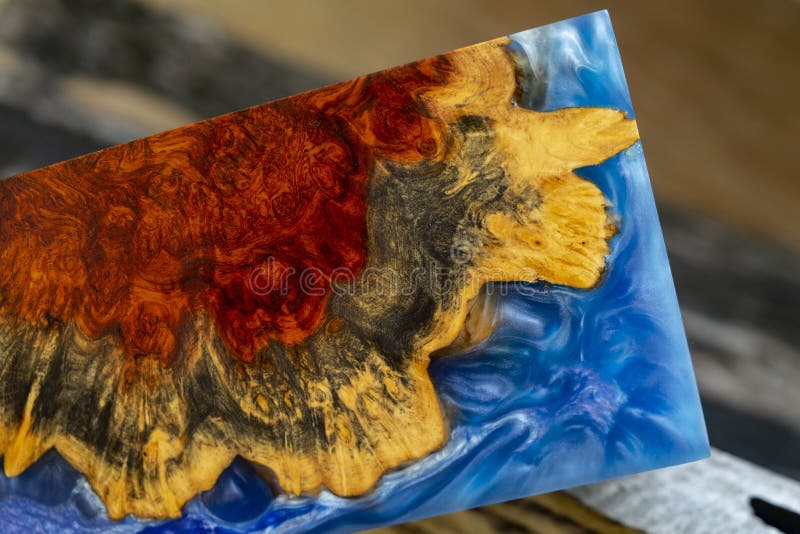 Epoxy resin casting burl wood abstract background,Texture of a wooden resin. Epoxy resin casting burl wood abstract background,Texture of a wooden resin