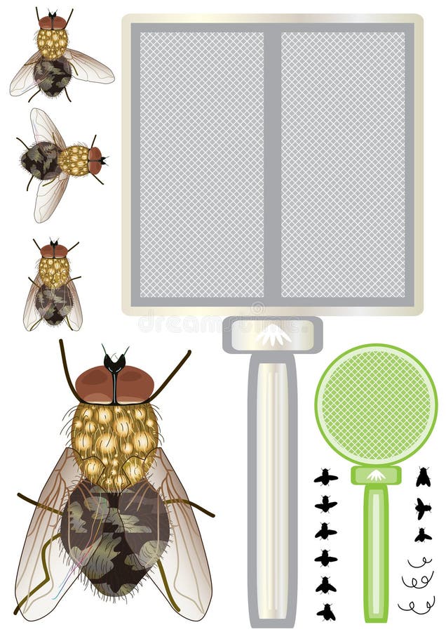 eps housefly set royalty ilustracja eps housefly set royalty ilustracja