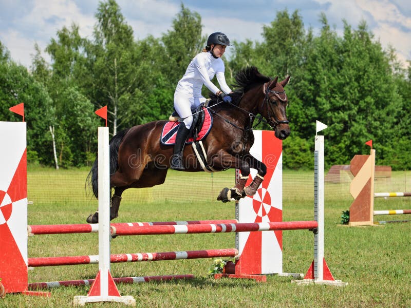 Cavalo esportivo pulando de estilo