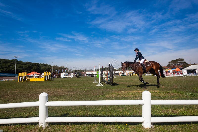 close-up pernas de cavalo esporte em show jumping na arena à luz do sol  evento de salto de cavalo, show jumping sports. 7074303 Foto de stock no  Vecteezy