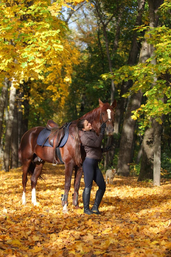 Equestrian girl ride grey arabian horse in autumn woods