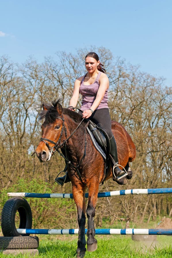 Equestrian - Horse Jumping royalty free stock photos