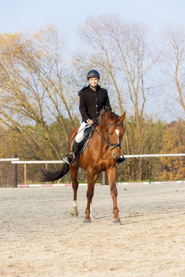 Equestrian on horseback