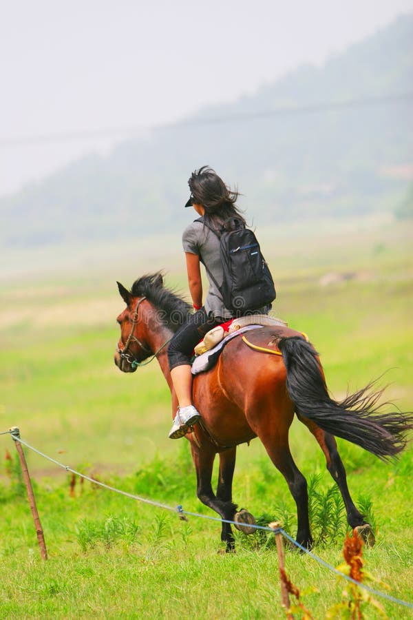 The equestrian japanese girl