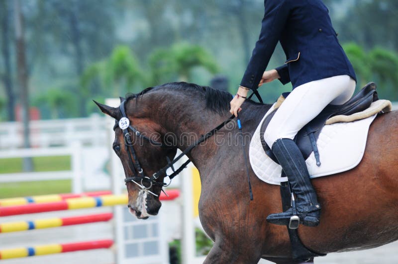 Equestrian showjumping