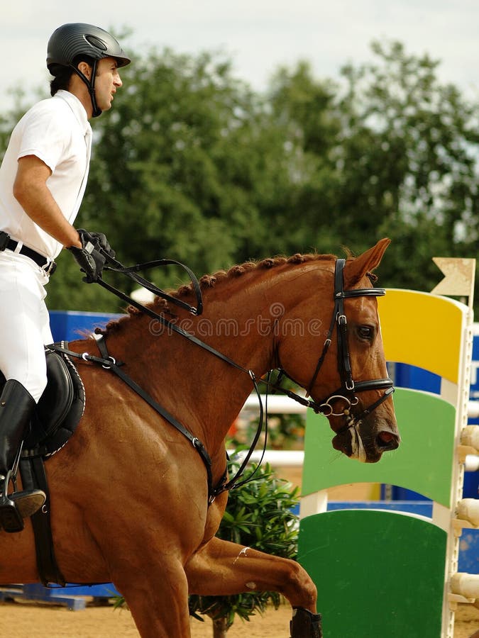 Equestrian sport editorial photo. Image of equitation 18491636