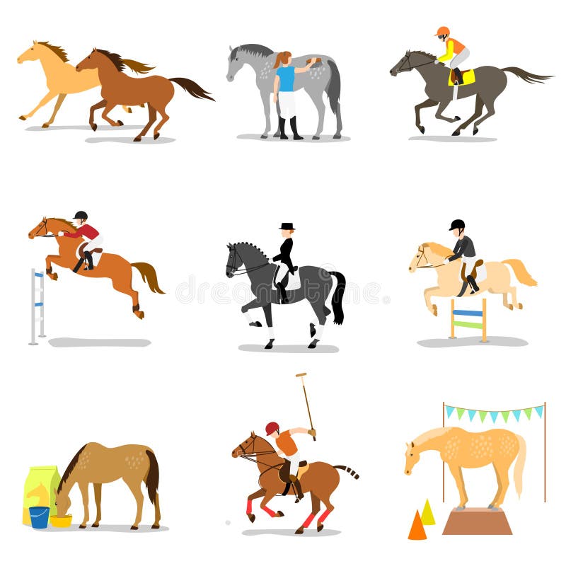Equestrian Sports and Activities Stock Vector Illustration of white