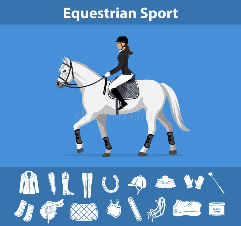 English riding accessories online