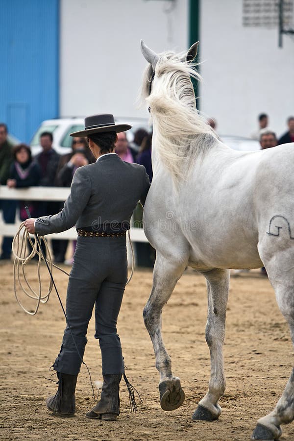 Equestrian Test of Morphology To Pure Spanish Horses Editorial Image