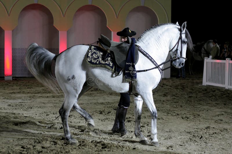 Equestrian wykonuje na Marzec 26, 2012 w Bahrajn obrazy royalty free Equestrian wykonuje na Marzec 26, 2012 w Bahrajn obrazy royalty free