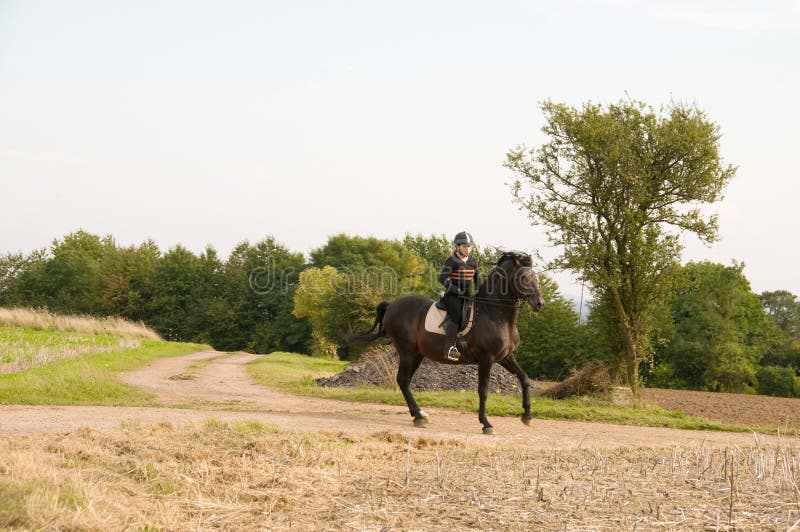 Equestrienne and a horse.