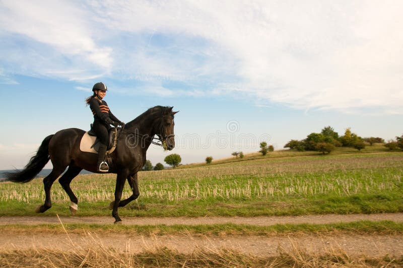 Equestrienne and a horse.