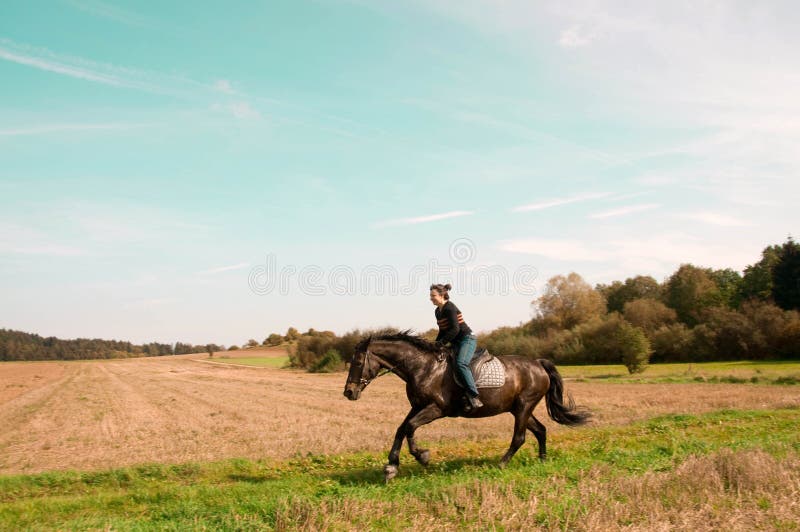 Equestrienne rides on the hillside.