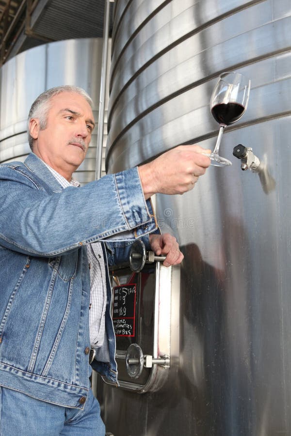 Equipaggi il controllo del vetro di vino fotografia stock Equipaggi il controllo del vetro di vino fotografia stock